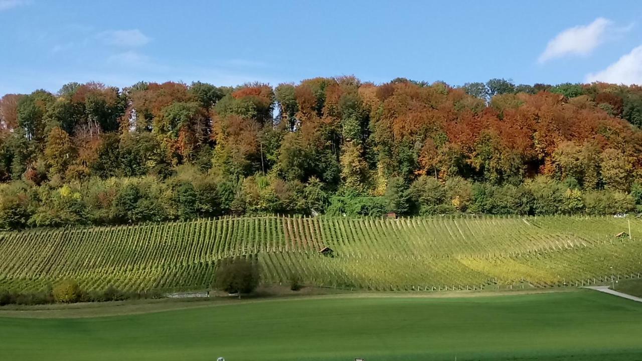 Ferienzimmer Zuelli Erlach 외부 사진